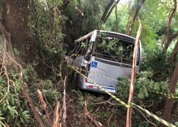 Un colectivo brasileño cayó a un precipicio y murieron siete personas