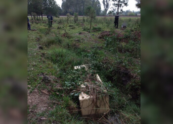 Detienen a dos hombres por el robo de una caja fuerte a un aserradero
