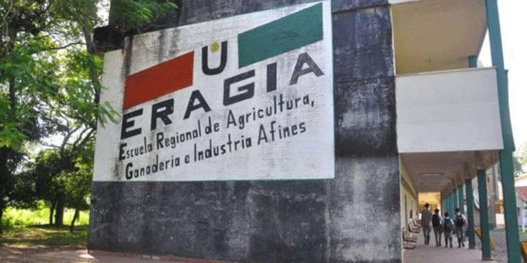 El hombre acusó a los estudiantes de robar una piedra de afilar “con mucho valor sentimental”.