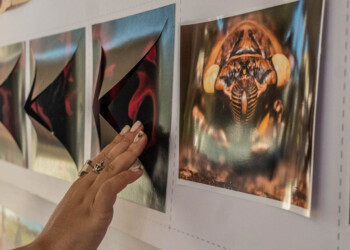 Exposición “Cincuenta procesos+” en la sede de la UGD