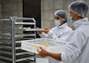 Primera fábrica regional que produce quesos 100% a base de plantas