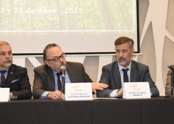 Madereros pidieron a Kulfas más energía, menos retenciones y que agilice la 25.080