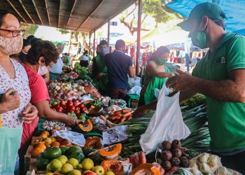 Más de 700 productores y emprendedores comercializan en las Ferias Francas de Posadas