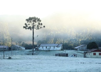 Llegó el frío polar a Misiones y no se descartan posibles heladas