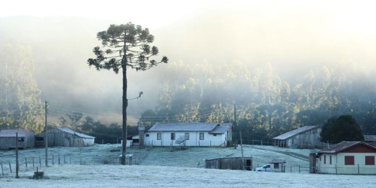 ESTIMACIONES. Hoy y mañana, “si bien va a hacer mucho frío, la nubosidad y la intensidad de vientos evitaría heladas”.