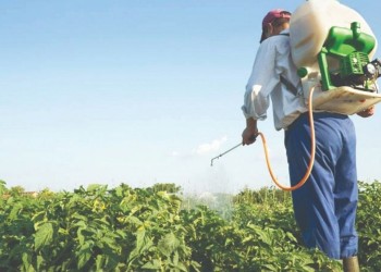 Misiones apuesta a quedar “libre de Glifosato”