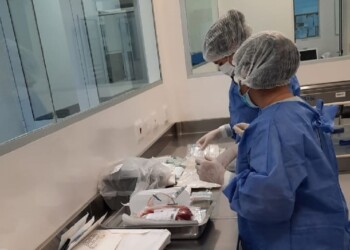 Misiones producirá gotas oftalmológicas a partir de la sangre