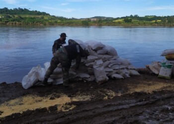 Prefectura secuestró en El Soberbio más de 18 toneladas de granos rumbo a Brasil