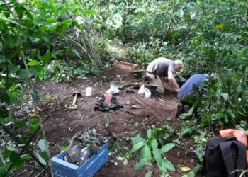 Importante hallazgo arqueológico en Puerto Iguazú