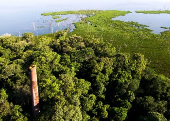 La Legislatura sancionó ley para regular el cuidado de los humedales misioneros