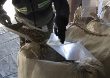 Intervinieron lotes de yerba canchada por exceso de palos