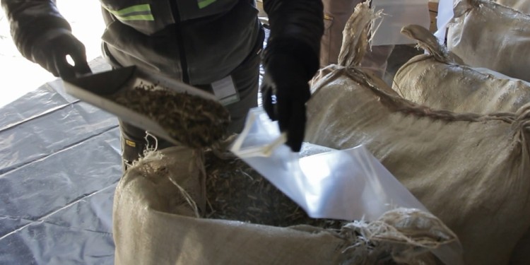 CANTIDAD. El área de fiscalización del INYM llevó a cabo diversas inspecciones que dieron como resultado la intervención de 330 mil kilos.