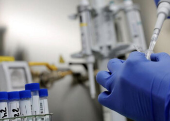 Confirmaron el primer caso de viruela del mono en la Argentina