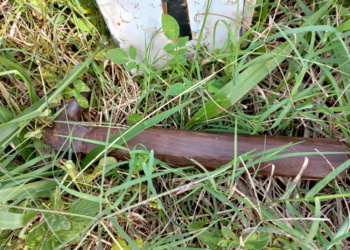 Hizo silencio ante el juez el segundo sospechoso por el crimen de Sosa