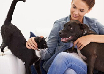 Convivir con gatos y perros ayuda a reducir el deterioro cognitivo en la adultez