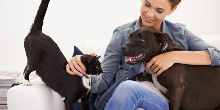 Personas mayores de 50 años que vivieron con una mascota, experimentan un deterioro menor y más lento de la memoria verbal. (Imagen: Lavanguardia.com)