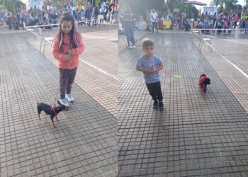 Más de 200 animales de compañía participaron de un desfile en San Javier