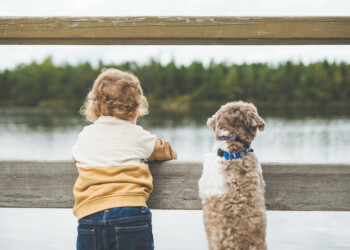 Niños que temen a los perros