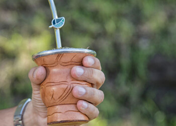 El consumo interno de yerba mate sumó 90,9 millones de kilos