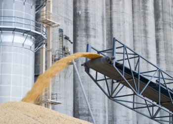 Se realizó el primer giro del Fondo Estabilizador del Trigo