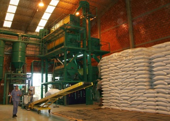 El molino de Andresito empezaría a comprar yerba en dos meses y a empaquetar en un año