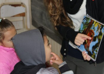 Advierten que el mascotismo amenaza al mono caí en la Zona Norte de Misiones