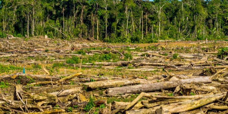 PROPUESTA. Para los ambientalistas “cabe la revisión de varias leyes del Digesto Ambiental Provincial”.