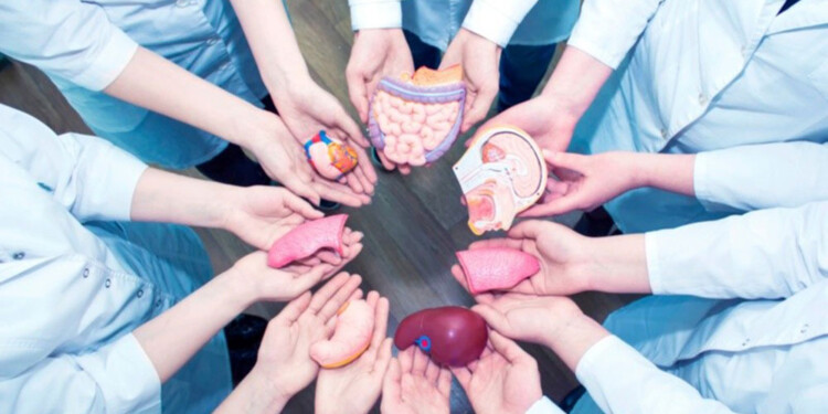 (Imagen: Rosario3.com)