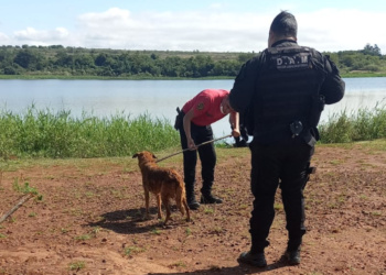 Rescatan a una perrita que se cayó en el arroyo Mártires
