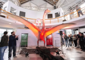 Hallan en Mendoza restos fósiles del reptil volador más grande de Sudamérica