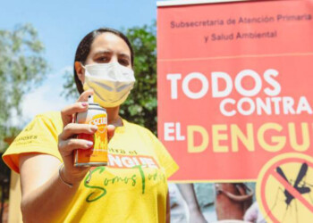Dengue: Misiones inició el período de interbrote sin casos previos