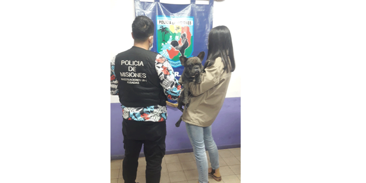 Resguardaron al perro en la Comisaría y lo entregaron a su dueña.
