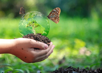 Diversidad Biológica: resguardar el futuro y seguir los pasos del desarrollo sostenible