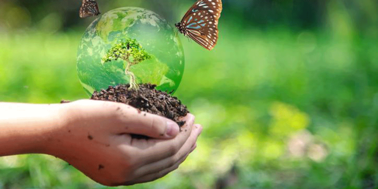 (Imagen: Ecologíaverde.com)