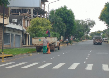 Avanza el Operativo Integral de Poda en Posadas y se extenderá hasta julio
