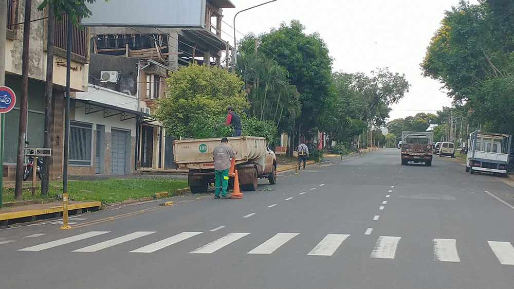 El jueves 2 de mayo comenzará el operativo integral de poda en Posadas