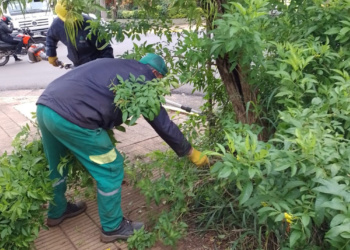 Avanza el Operativo Integral de Poda en Posadas y se extenderá hasta julio