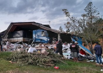 Camión se puso en movimiento y entró en un comercio de San Javier