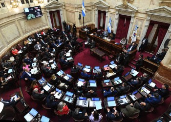 Media sanción a la creación de un fondo para pagar al FMI con dinero fugado al exterior