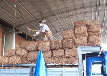 La Nación retiene $1.300 millones del FET y complica los servicios para tabacaleros