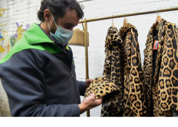 Venta de pieles y cuero: Red Yaguareté solicitó multas millonarias y que Ambiente se constituya en querellante