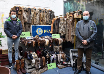 Venta de pieles y cuero: Red Yaguareté solicitó multas millonarias y que Ambiente se constituya en querellante