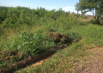 Vecinos reclaman por un predio abandonado cercano al autódromo