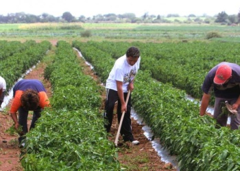 Renatre fija nuevos montos de la prestación por desempleo