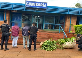 Detuvieron a dos hermanos por robar yerba mate en Aristóbulo del Valle