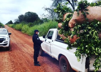 Frustraron el robo de más de una tonelada de yerba mate