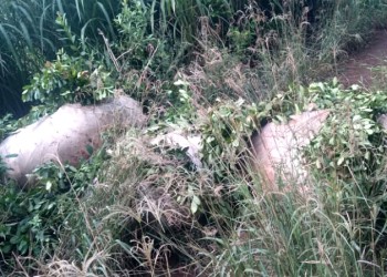 Recrudeció la inseguridad rural y los productores reclaman acciones