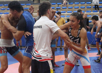 Volvieron con el pasaje al Panamericano