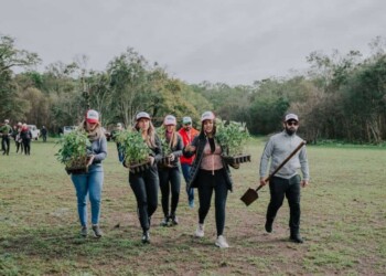 Destacan el nivel de participación en las plantaciones masivas