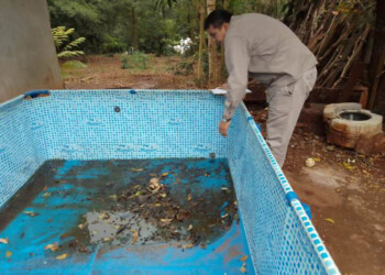 El último operativo LIRAa en Oberá visitó unas 1.500 viviendas